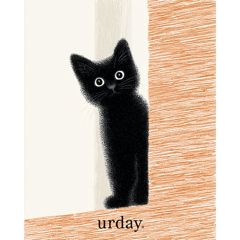 予約：urday【cat】アートワークスウェットプルパーカ（u-a-spk-0001-05）ブラック